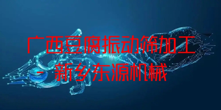 廣西豆腐振動篩加工 - 新鄉(xiāng)東源機械