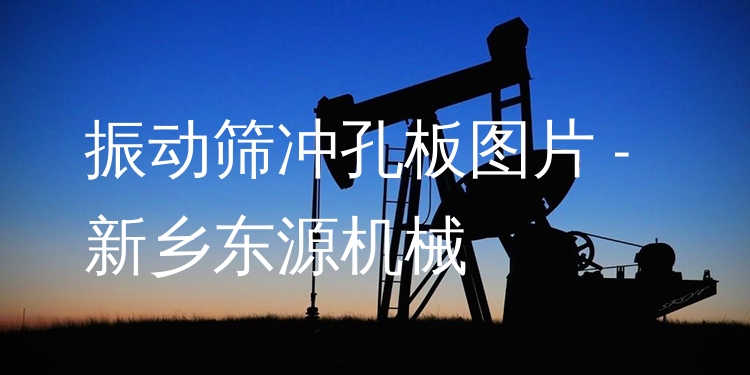 振動(dòng)篩沖孔板圖片 - 新鄉(xiāng)東源機(jī)械