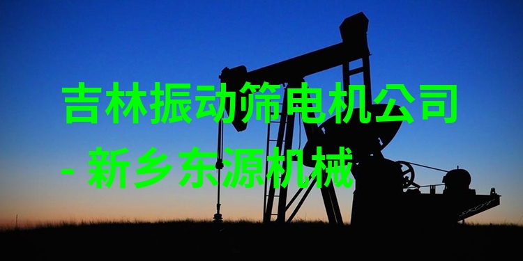 吉林振動篩電機公司 - 新鄉(xiāng)東源機械