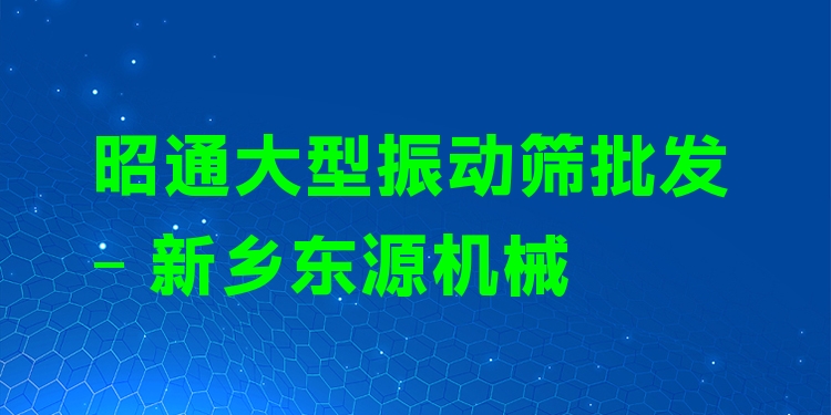 昭通大型振動(dòng)篩批發(fā) - 新鄉(xiāng)東源機(jī)械