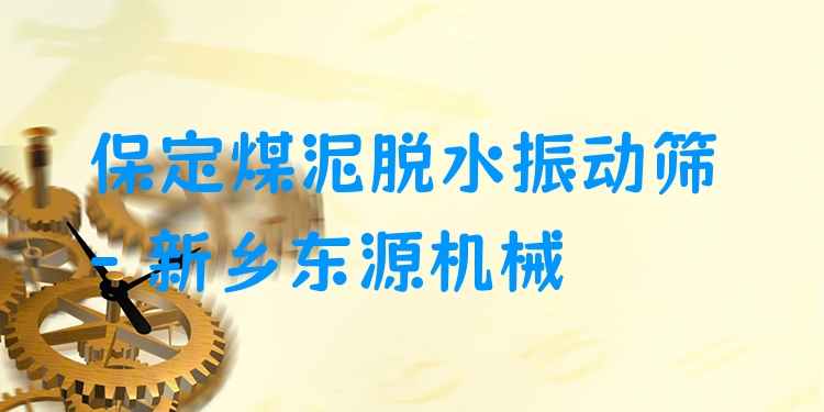 保定煤泥脫水振動篩 - 新鄉(xiāng)東源機(jī)械