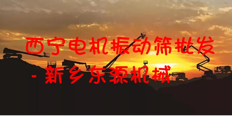 西寧電機(jī)振動(dòng)篩批發(fā) - 新鄉(xiāng)東源機(jī)械