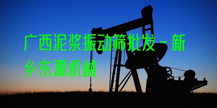 廣西泥漿振動(dòng)篩批發(fā) - 新鄉(xiāng)東源機(jī)械
