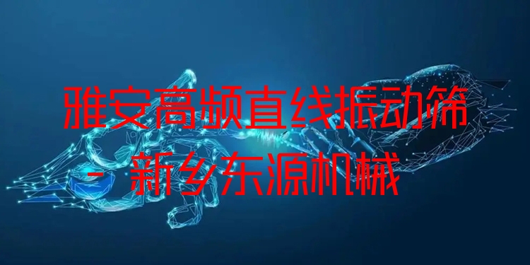 雅安高頻直線振動篩 - 新鄉(xiāng)東源機械