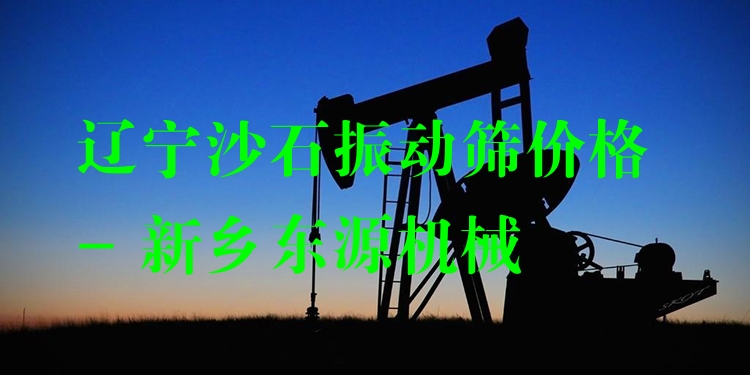 遼寧沙石振動篩價格 - 新鄉(xiāng)東源機械