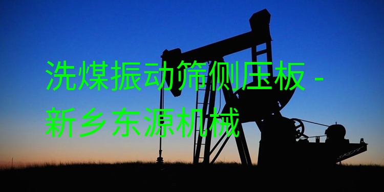 洗煤振動(dòng)篩側(cè)壓板 - 新鄉(xiāng)東源機(jī)械