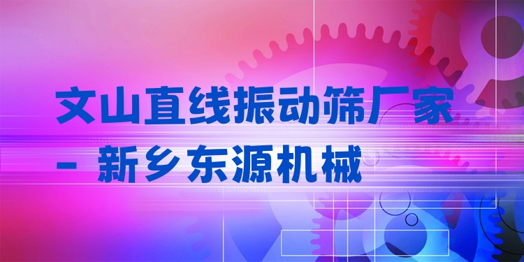 文山直線振動(dòng)篩廠家 - 新鄉(xiāng)東源機(jī)械