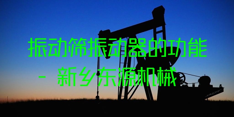 振動(dòng)篩振動(dòng)器的功能 - 新鄉(xiāng)東源機(jī)械