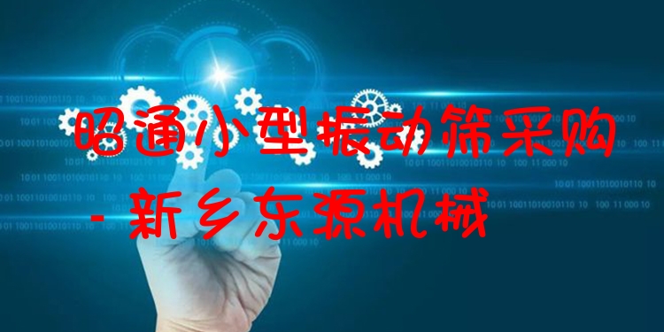昭通小型振動(dòng)篩采購 - 新鄉(xiāng)東源機(jī)械