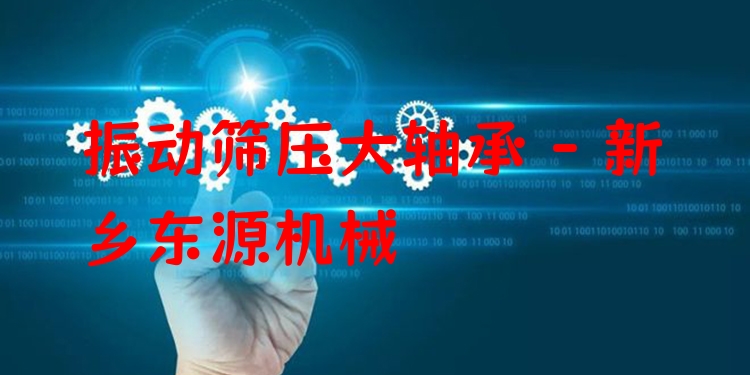 振動(dòng)篩壓大軸承 - 新鄉(xiāng)東源機(jī)械