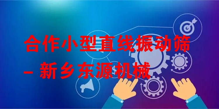 合作小型直線振動(dòng)篩 - 新鄉(xiāng)東源機(jī)械