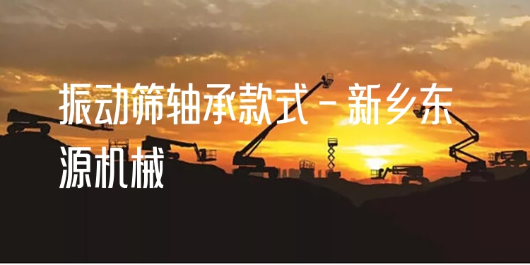 振動(dòng)篩軸承款式 - 新鄉(xiāng)東源機(jī)械