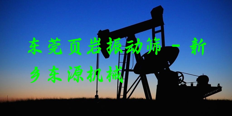 東莞頁巖振動(dòng)篩 - 新鄉(xiāng)東源機(jī)械