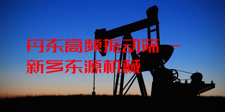 丹東高頻振動(dòng)篩 - 新鄉(xiāng)東源機(jī)械