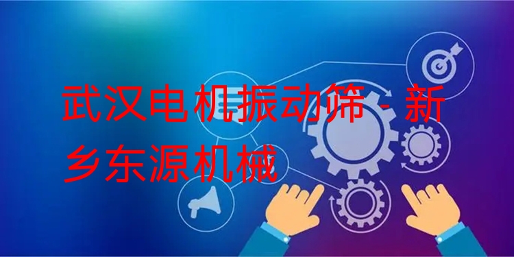 武漢電機(jī)振動(dòng)篩 - 新鄉(xiāng)東源機(jī)械